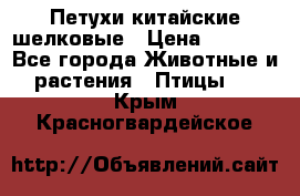 Петухи китайские шелковые › Цена ­ 1 000 - Все города Животные и растения » Птицы   . Крым,Красногвардейское